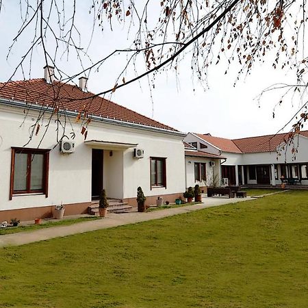 Mladenovic Apartments Kladovo Zewnętrze zdjęcie